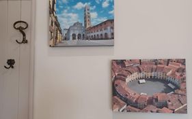 Lucca, Pisa, Firenze, Mare BICICLETTE INCLUSE